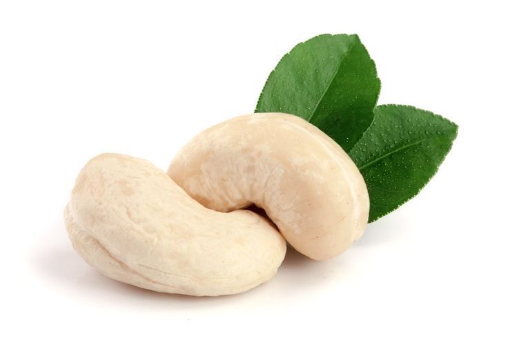 Cashew